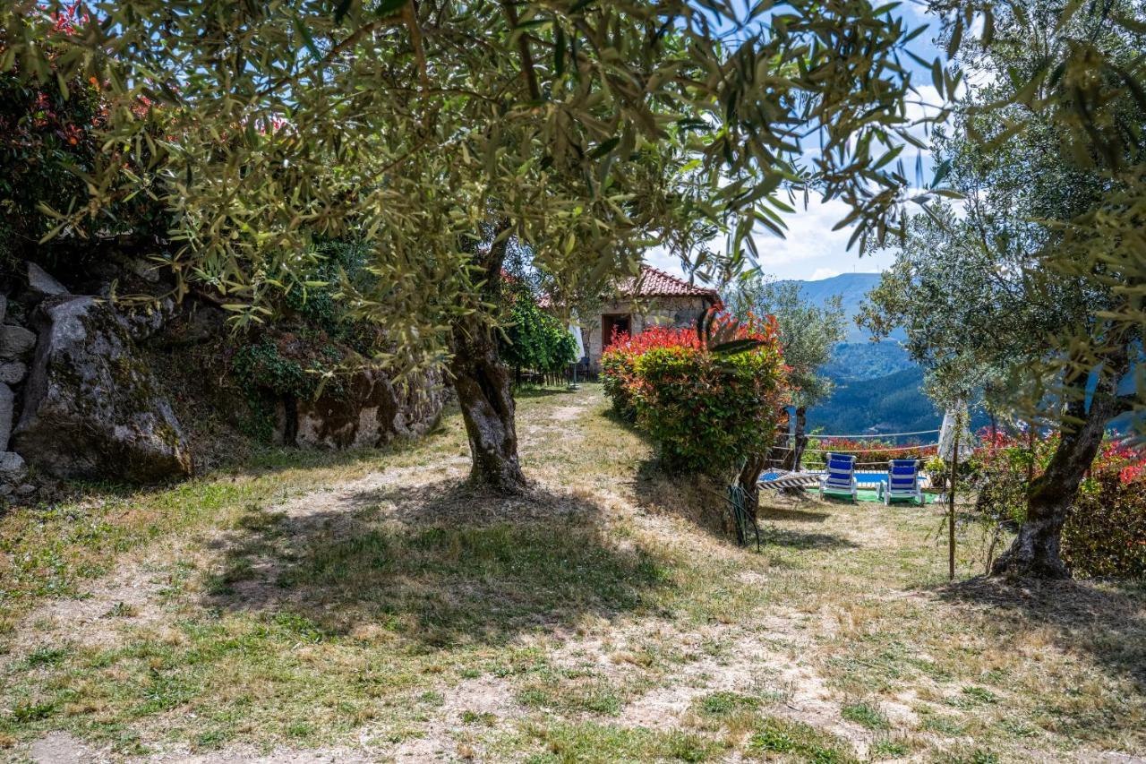 Quinta Da Baldieira Mondim de Basto Εξωτερικό φωτογραφία
