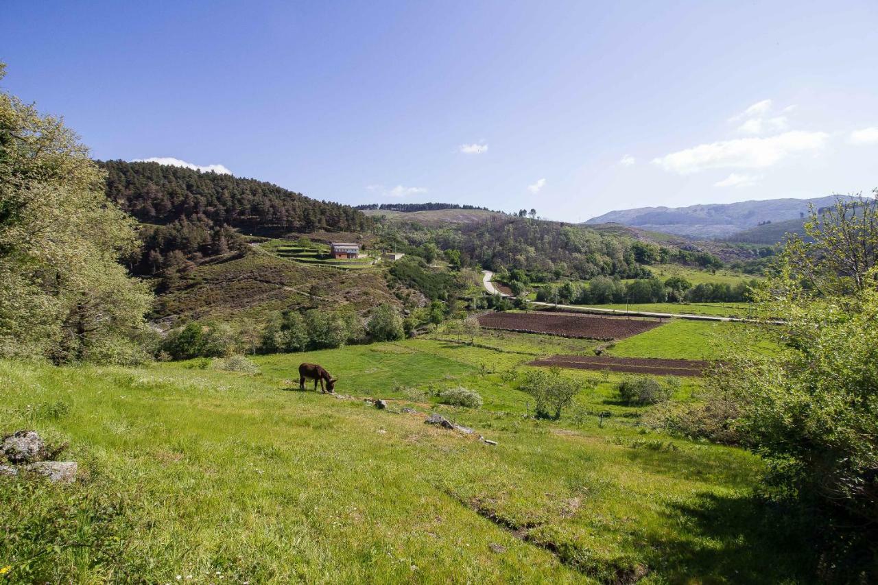 Quinta Da Baldieira Mondim de Basto Εξωτερικό φωτογραφία