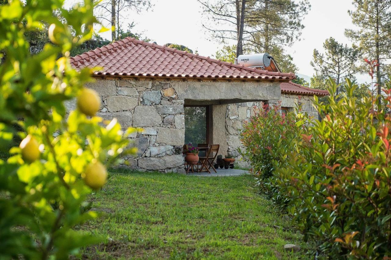 Quinta Da Baldieira Mondim de Basto Εξωτερικό φωτογραφία